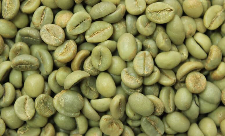 Washed Ethiopian Arabica coffee beans for export